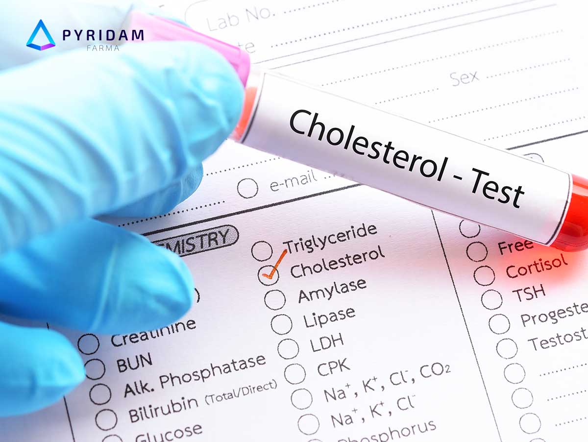 apa itu kolesterol