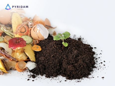 contoh sampah organik dan anorganik