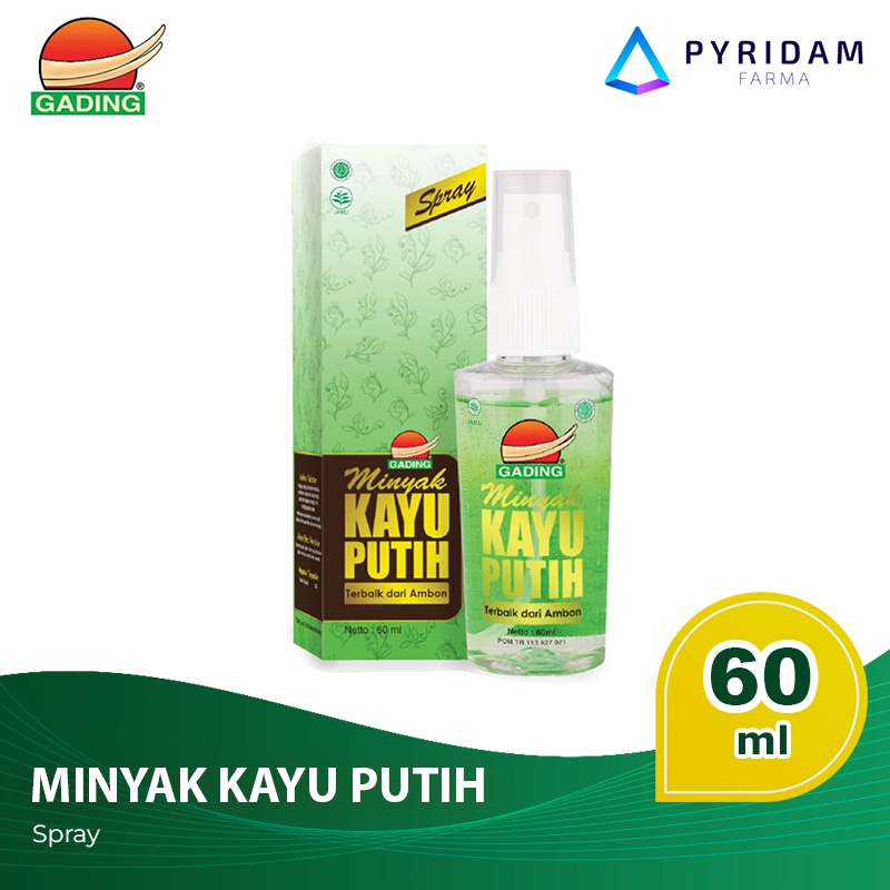 sg-11134201-22100-mwomnbsn69hv7b.jpg.jpg
