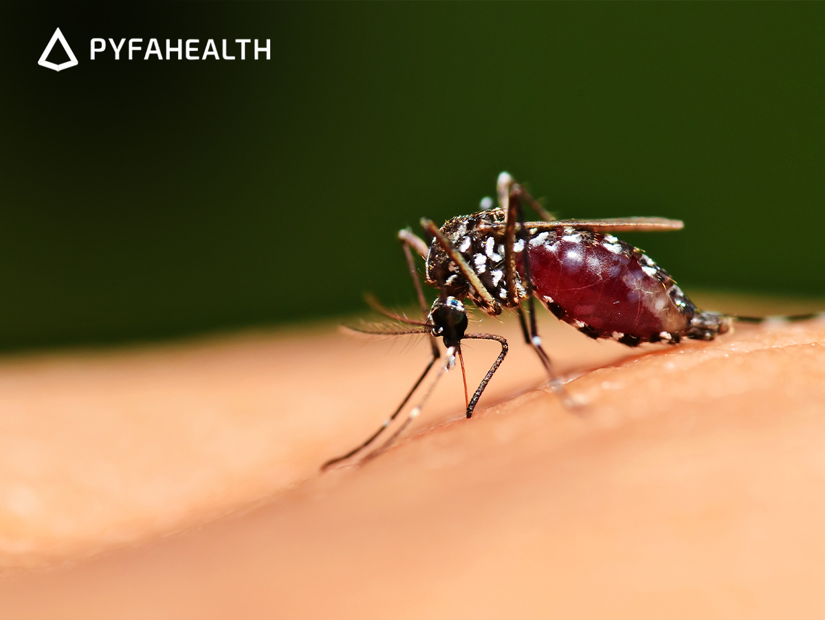 Apa penyebab dan gejala demam berdarah dengue, serta bisakah diobati? Berikut penjelasan lengkapnya.