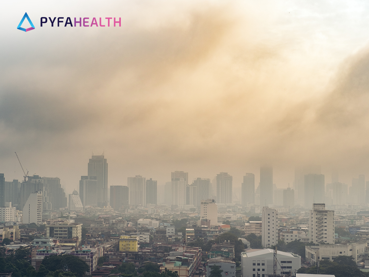Apa saja dampak buruk polusi udara untuk kesehatan yang perlu diwaspadai? Berikut informasi selengkapnya. 