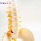 Apa Itu Osteoporosis_ Kenali Penyebab dan Gejala yang Menyertainya