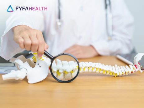 Cara Mencegah Penyakit Osteoporosis dan Penyebabnya