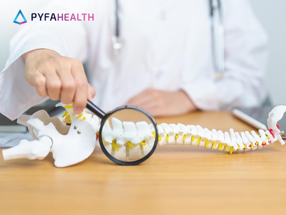 Osteoporosis Disebabkan oleh Apa? Inilah Penyebab dan Cara Mencegahnya