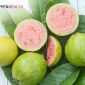 buah yang mengandung kalsium untuk ibu hamil.docx