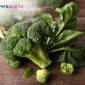 makanan untuk mencegah osteoporosis.docx