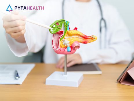 fungsi empedu adalah