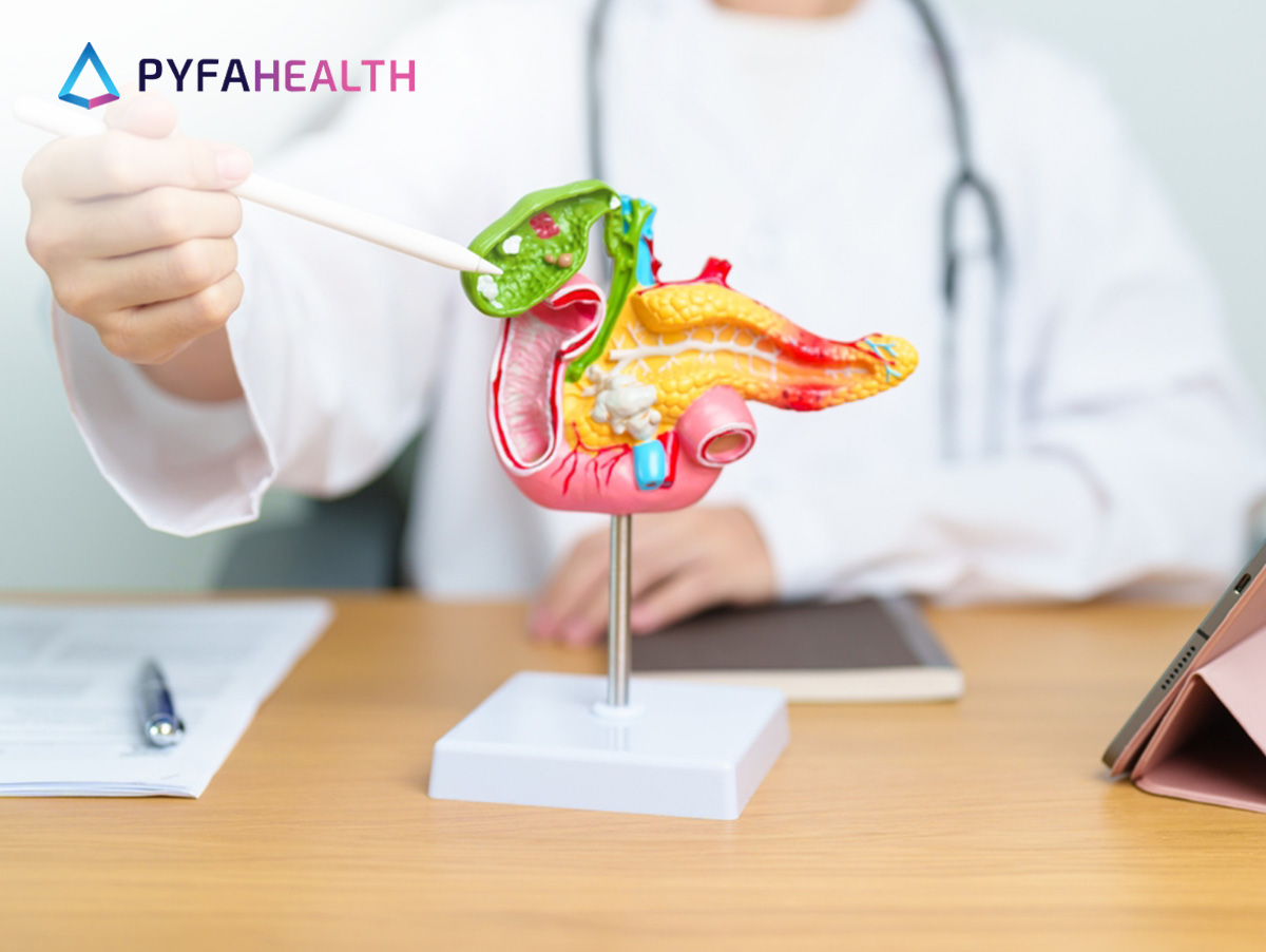 fungsi empedu adalah