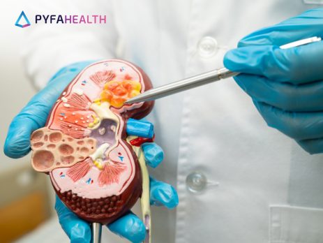 apa penyebab gagal ginjal