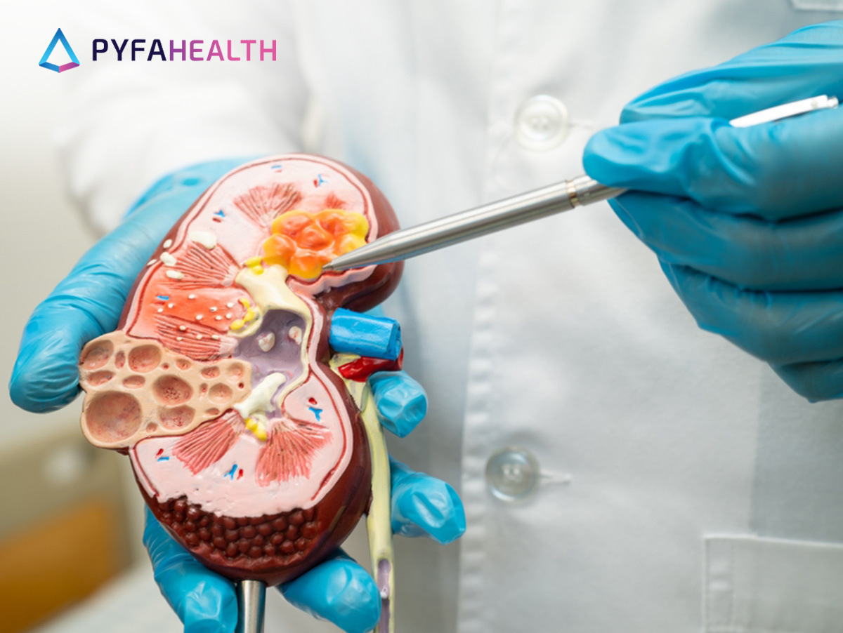 apa penyebab gagal ginjal