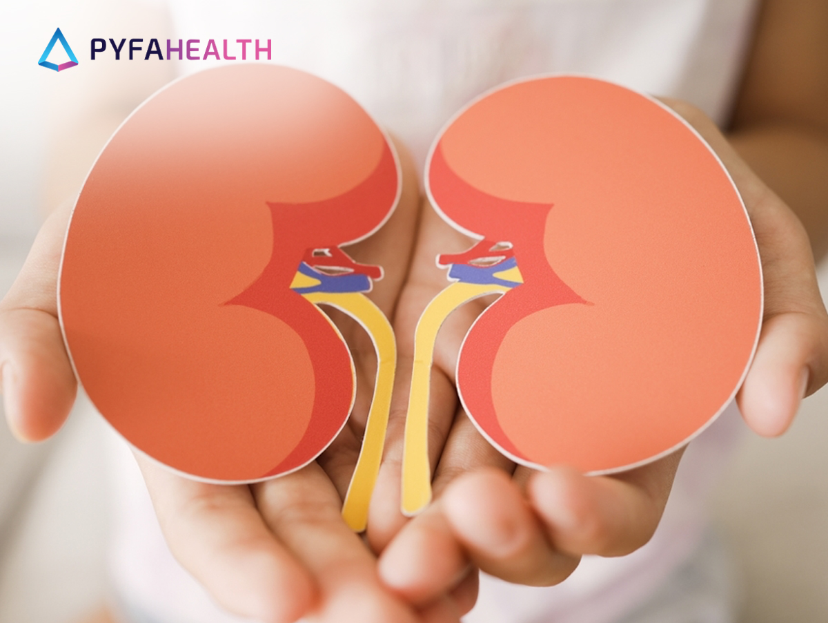 posisi ginjal manusia