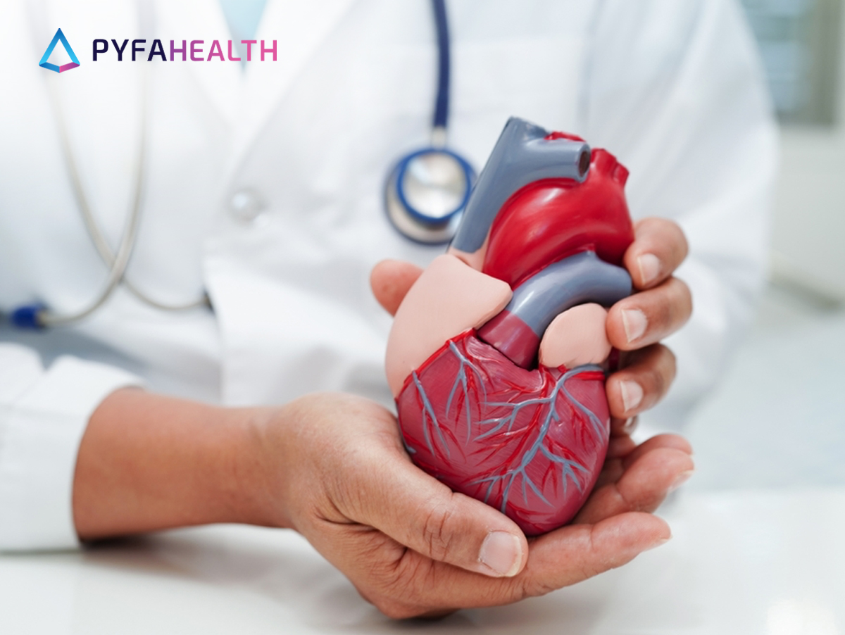 sebutkan ciri-ciri otot jantung