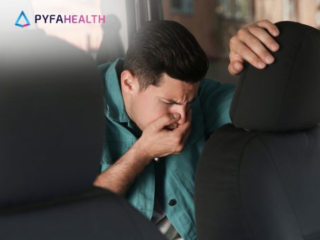 penyebab mabuk perjalanan